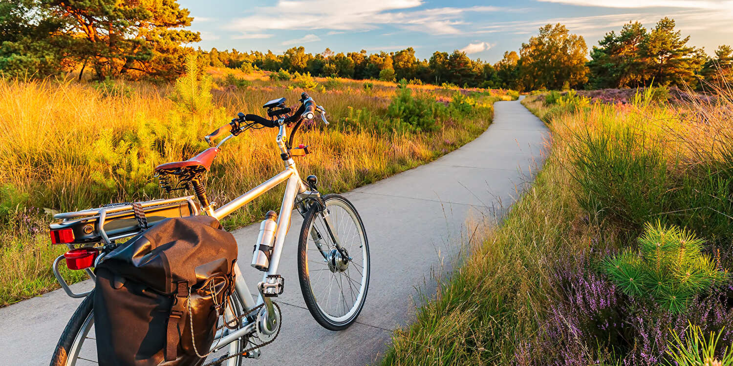 Een herenfiets staat stil op een pad te midden van een veld, omgeven door een rustige en natuurlijke omgeving.