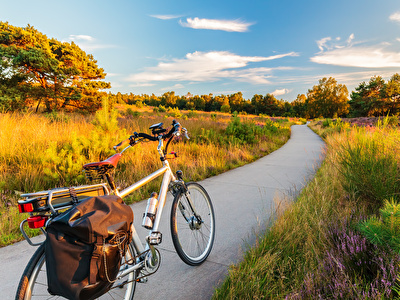 A bike parked on a cycle and footpath, surrounded by a green environment with blue sky