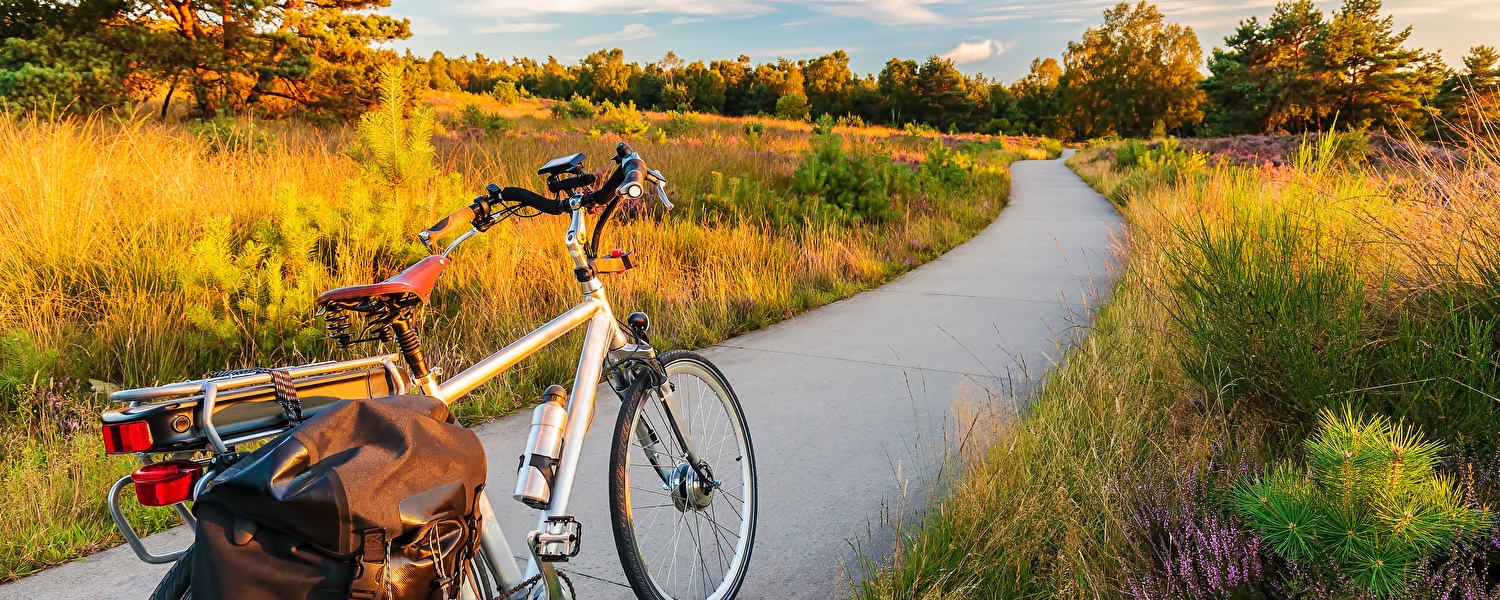 Een herenfiets staat stil op een pad te midden van een veld, omgeven door een rustige en natuurlijke omgeving.