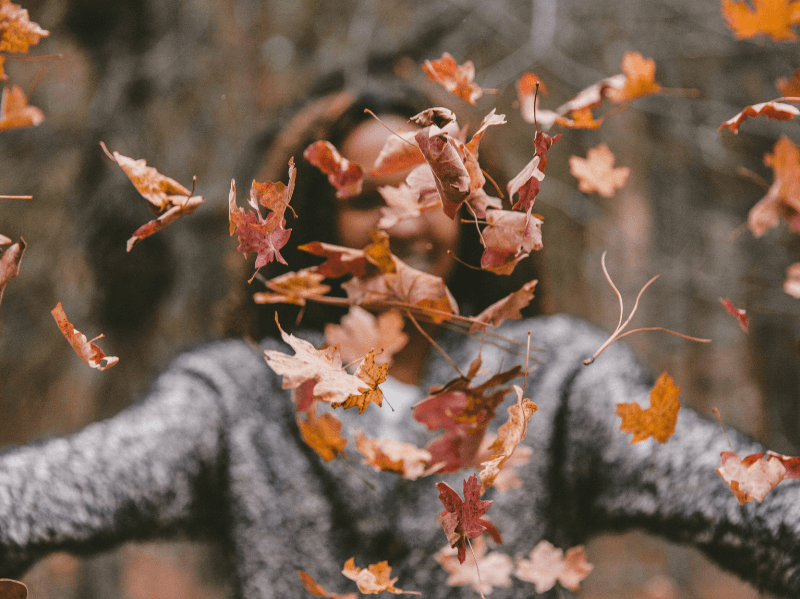Een zonovergoten herfstbos met bomen vol oranje en rode bladeren. Zonne­stralen breken door het bladerdak en verlichten het pad dat door het bos slingert.