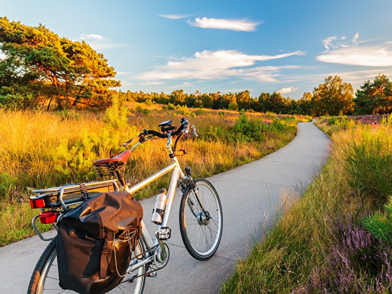 Elektrische fiets met fietstassen, geparkeerd op een fietspad dat door een zonnig heidelandschap met pijnbomen slingert.